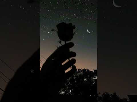 Sial || #mahalini #lirik #short#sad