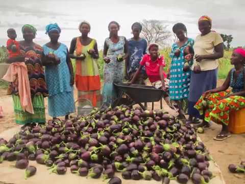 2017 CREATE!  Highlights from the Field