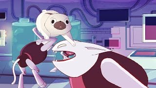 The Superposition of Human Affection - Music Video