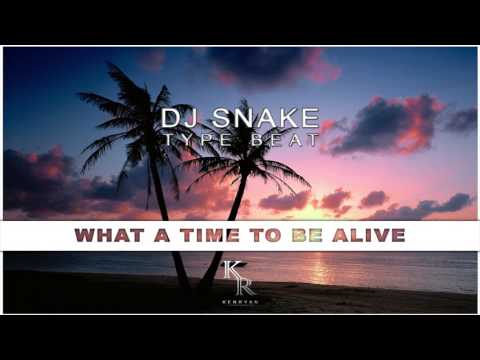 Dj Snake / Justin Bieber Type Beat "What a Time to be alive" Tropical House INSTRUMENTAL