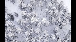 中島美嘉「雪の華」ギター弾き語りTAB譜　Arranged by Yuno-e