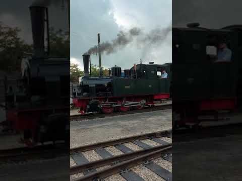 Die "Hoya" vom DEV fährt aus Bruchhausen-Vilsen aus 25.09.21