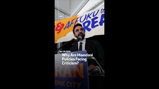 Why Are Mamdani Policies Facing Criticism?