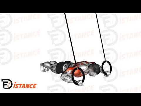 Exercice Pompes russes (russian push-ups) aux anneaux