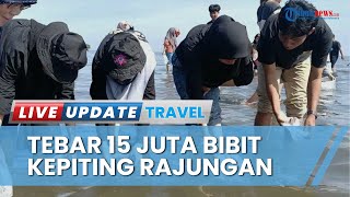 Detik-detik Mahasiswa Unhas bareng Warga Tebar 15 Juta Bibit Kepiting Rajungan di Bojo Barru