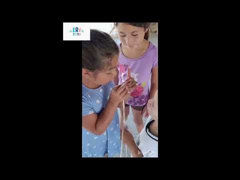 EAV2026 GENERAL ALVARADO