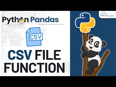Learn Pandas Functions Python CSV File Reading and Writing Complete ...