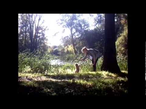 Kleiner Ausflug mit Chico. :D