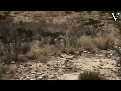 Sequías e inundaciones