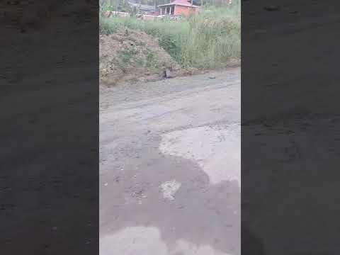 MORADORA DA SENHORINHA AGRADECE AO VEREADOR VITÃO DO POVO E AO JORNAL AGORA É SÉRIO PELO CASO RESOLVIDO DA OBRA DA SABESP NA ESTRADA DA SENHORINHA