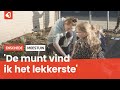 Leerlingen bothoven drinken thee uit eigen moestuin 'veel lekkerder'