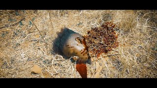 Los Angelos   My Country Official Video