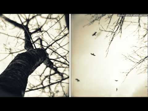 Amy Seeley - The Trees Want You Back