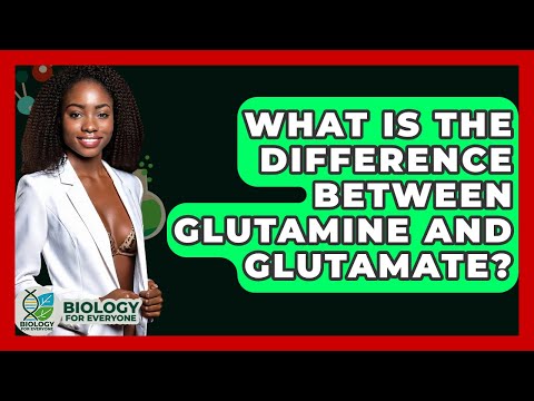 What Is The Difference Between Glutamine And Glutamate? - Biology For Everyone