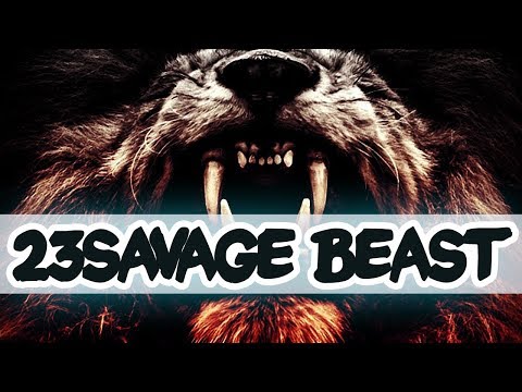 23savage 17 YEARS OLD NEW Rising Fnatic Star - BEAST MODE ON! Epic Gameplay Compilation Dota 2