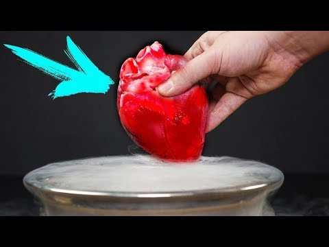 What Does Liquid Nitrogen Do To Heart!?!  -195° Video