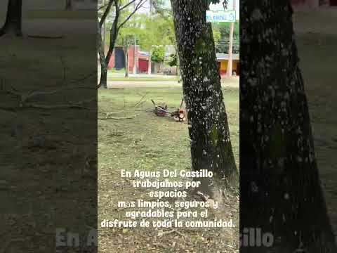 2 de junio de 2026