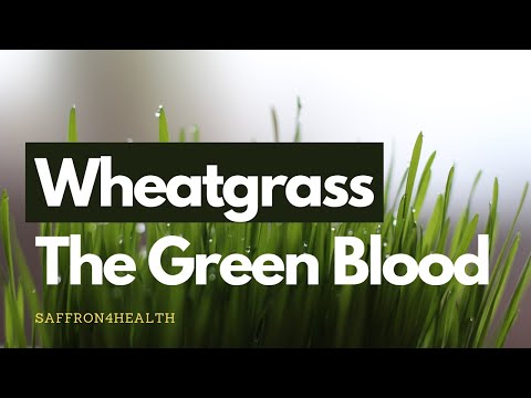 Saffron4health wheatgrass tablets, non prescription