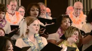 Up, Up &amp; Away (segment) - NoVA Lights Chorale