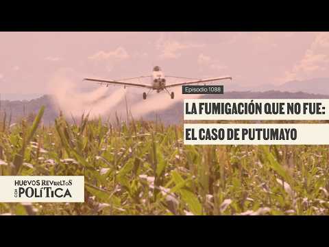 La fumigación que no fue: el caso de Putumayo - Huevos Revueltos con Política