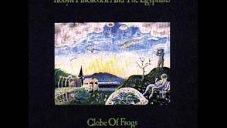 Robyn Hitchcock - A globe of frogs