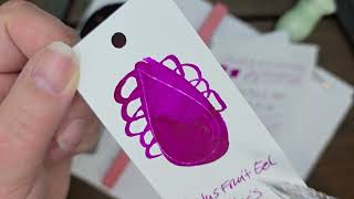 Cactus Fruit Eel Ink Review Noodler's Fountain Pen Ink
