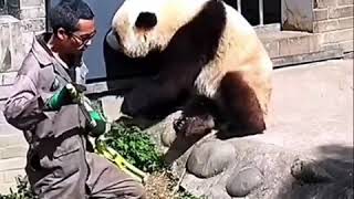 Download lagu Vidio lucu katababa mp3