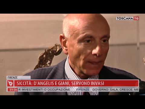 2017-07-24 TG REGIONALE ORE 19.00