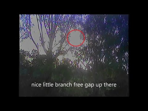 WHEN THE FPV CAMERA LIES