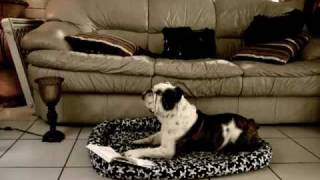 Light Bulb - Rachel Goodrich