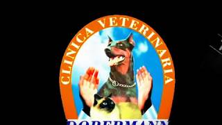 Conductas Inadecuadas