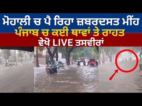 Punjab Weather Today: Mohali ਚ ਪੈ ਰਿਹਾ ਜ਼ਬਰਦਸਤ ਮੀਂਹ, Punjab ਚ ਕਈ ਥਾਵਾਂ ਤੇ ਰਾਹਤ, ਵੇਖੋ LIVE ਤਸਵੀਰਾਂ