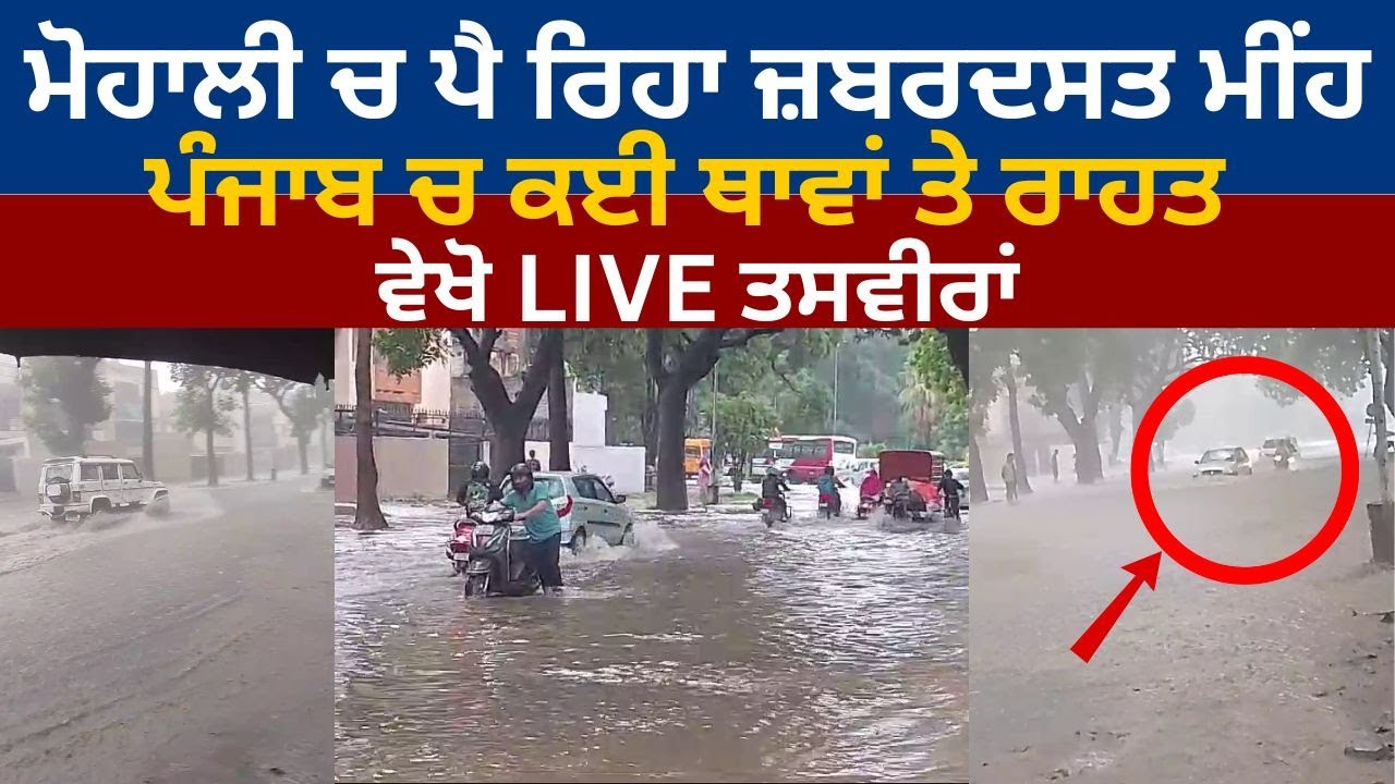 Punjab Weather Today: Mohali ਚ ਪੈ ਰਿਹਾ ਜ਼ਬਰਦਸਤ ਮੀਂਹ, Punjab ਚ ਕਈ ਥਾਵਾਂ ਤੇ ਰਾਹਤ, ਵੇਖੋ LIVE ਤਸਵੀਰਾਂ Punjab Weather Today: Mohali ਚ ਪੈ ਰਿਹਾ ਜ਼ਬਰਦਸਤ ਮੀਂਹ, Punjab ਚ ਕਈ ਥਾਵਾਂ ਤੇ ਰਾਹਤ, ਵੇਖੋ LIVE ਤਸਵੀਰਾਂ
