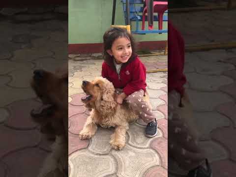 Dog his best friend ( shourya )