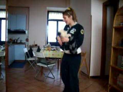 Salvatore l'orsetto lavatore