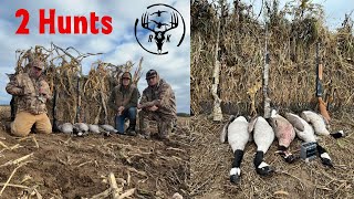 2 Honker Hunts (Michigan Goose Hunting)