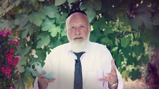 פרשת בהעלותך | בלמידה מרחוק להרגיש קרוב