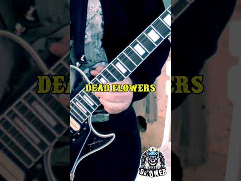 What if Slash Played the Solo in 'Dead Flowers'? | Dr. OMEB's Take 🎸