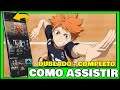 WHERE TO WATCH HAIKYUU DUBBED How To Watch Haikyuu Manga Action Figures And Haikyuu Anime Sh