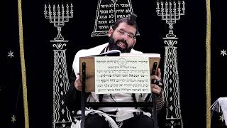 זבחים דף ט' ע''ב ¤ הרב נתנאל אברז'ל ¤ בית הכנסת "בית מרדכי" (מוסדות תורת דוד) - התמונה מוצגת ישירות מתוך אתר האינטרנט יוטיוב. זכויות היוצרים בתמונה שייכות ליוצרה. קישור קרדיט למקור התוכן נמצא בתוך דף הסרטון