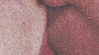 MT WARNING - Petrified Heart [Official Audio]