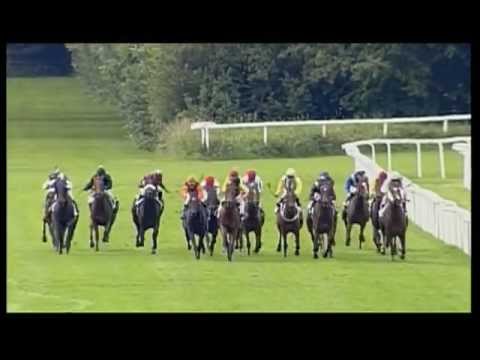 München, BBAG-Auktionsrennen München, 10.6.2012 - Sieger: Chapman