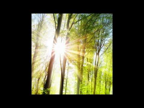 luvange1 x lil yu x dxsh - sunshine