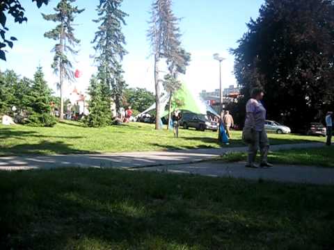 Žlutý Pes-Sametová