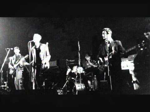 The Bluebell Wood - The Wild Swans