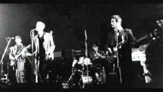 The Wild Swans - Bluebell Woods