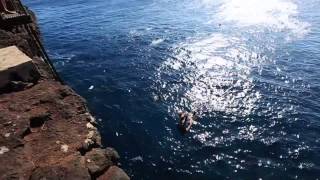 Michael Calfan - Treasured Soul