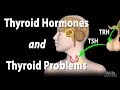 Thyroid Hormone Animation