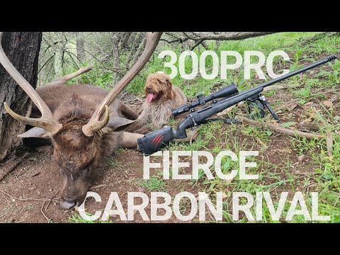 Fierce Firearms Review - Troubleshooting a Gun with Lots of Problems!