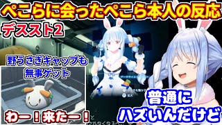デススト2でぺこらに会った兎田ぺこら本人の反応。ネタバレあり【ホロライブ切り抜き】